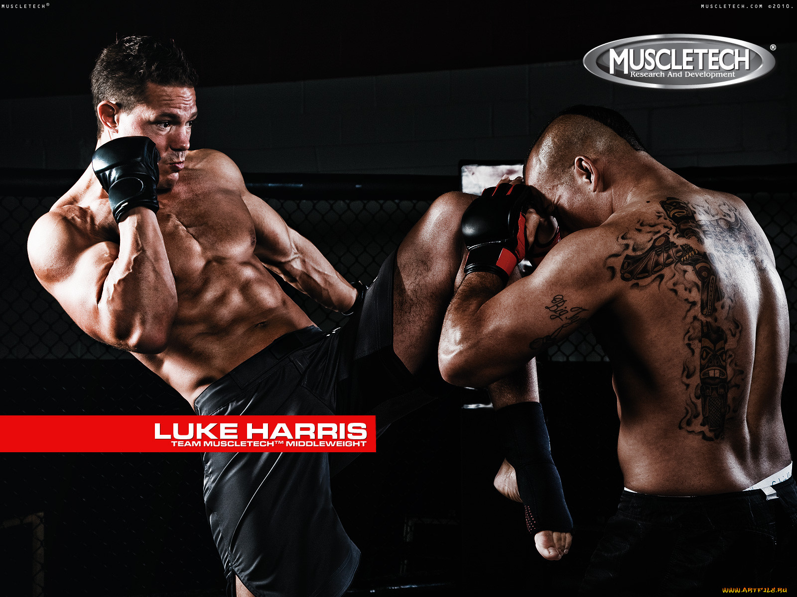muscletech, , luke, harris